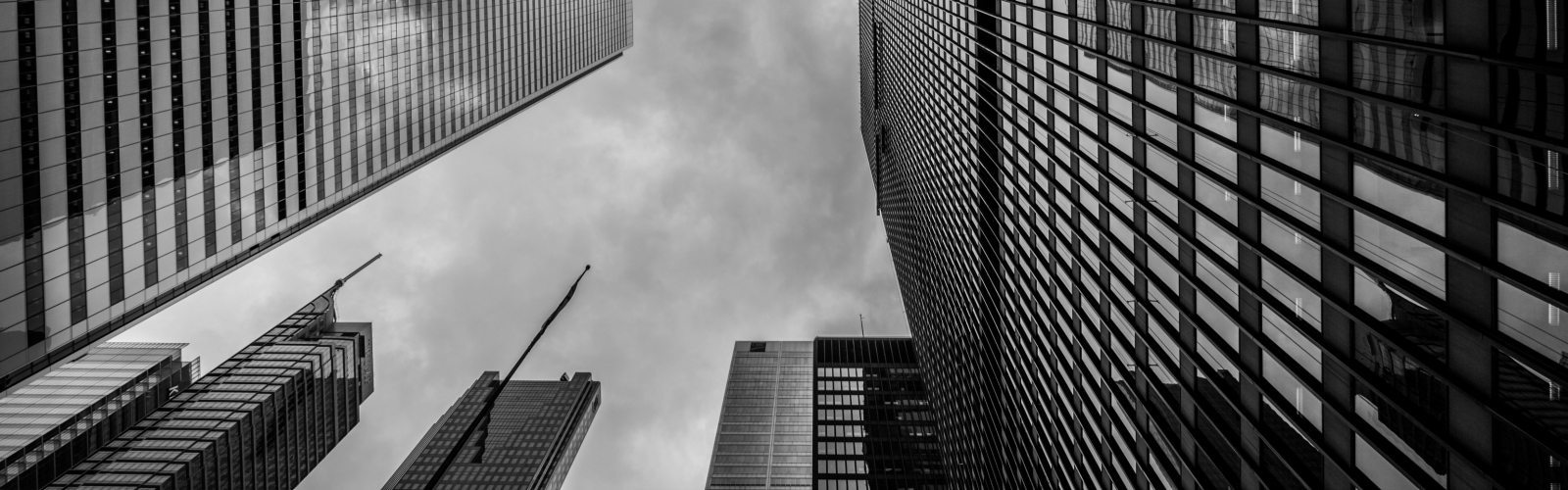 Our Term Life Insurance Companies