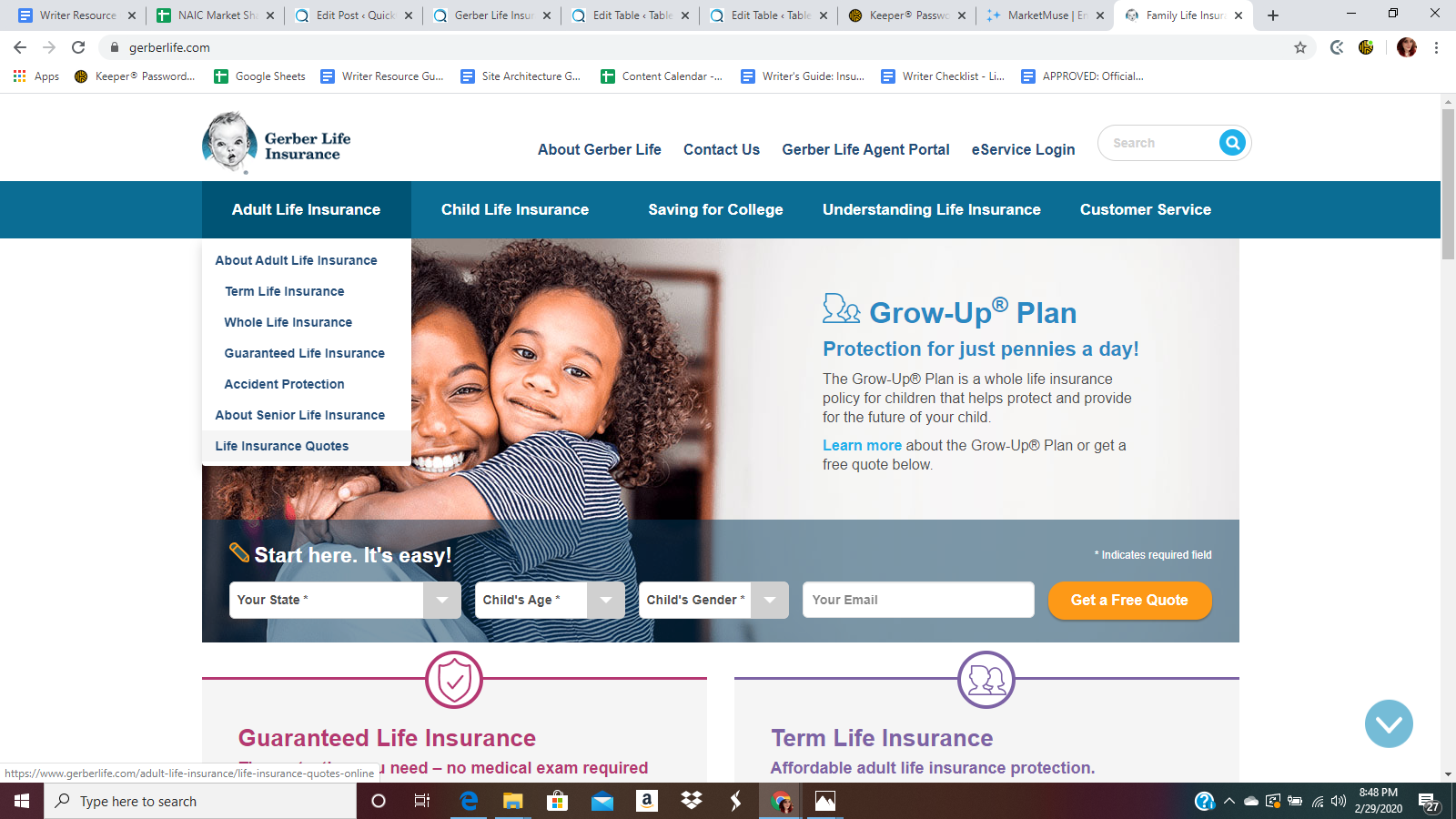 Gerber Life Website Adult Life Insurance Drop Down Menu