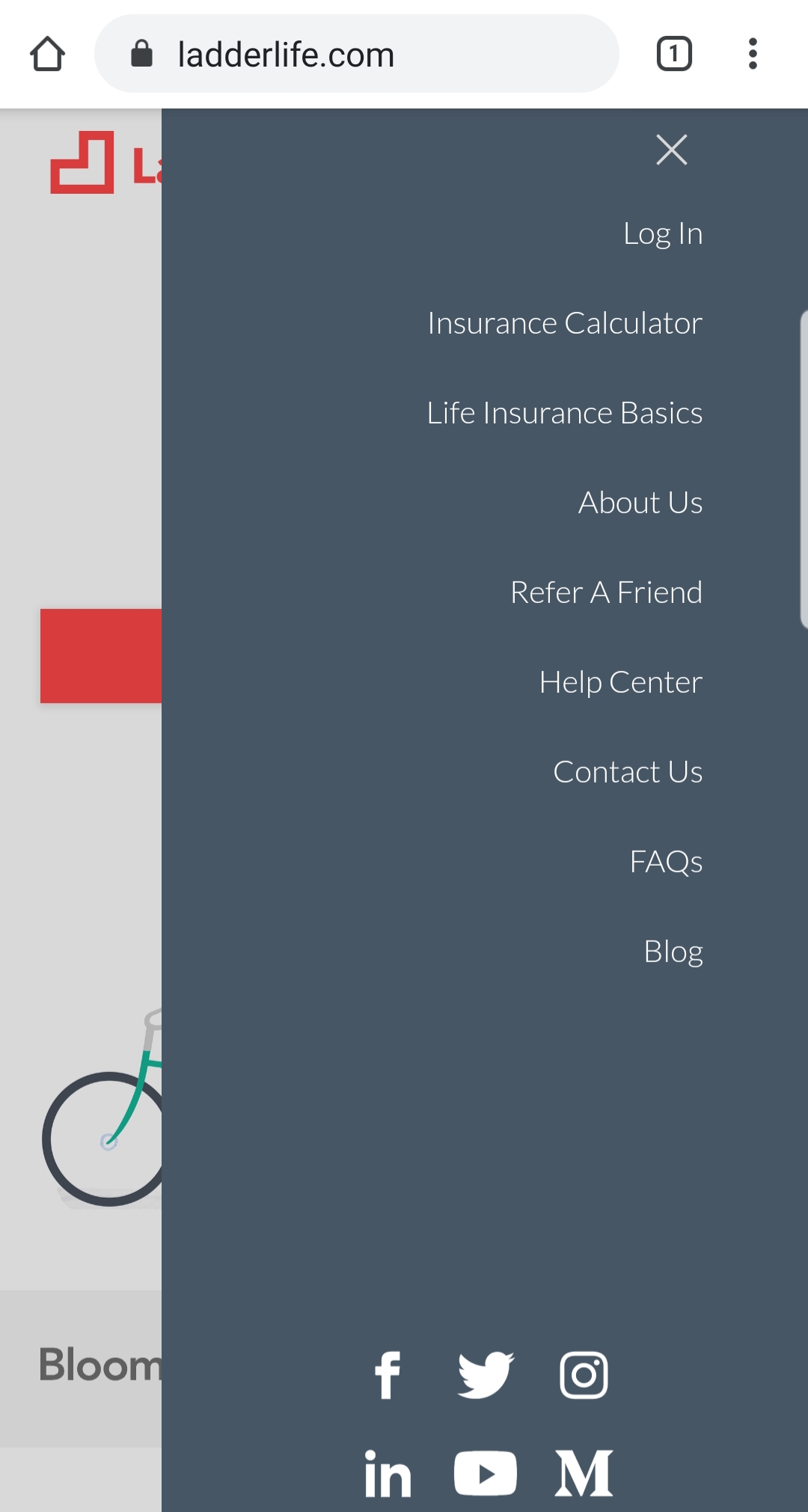 Ladder Life Insurance Review Quickquote