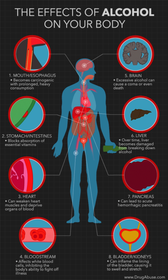 Diagram of the Effects of Alcohol on the Body