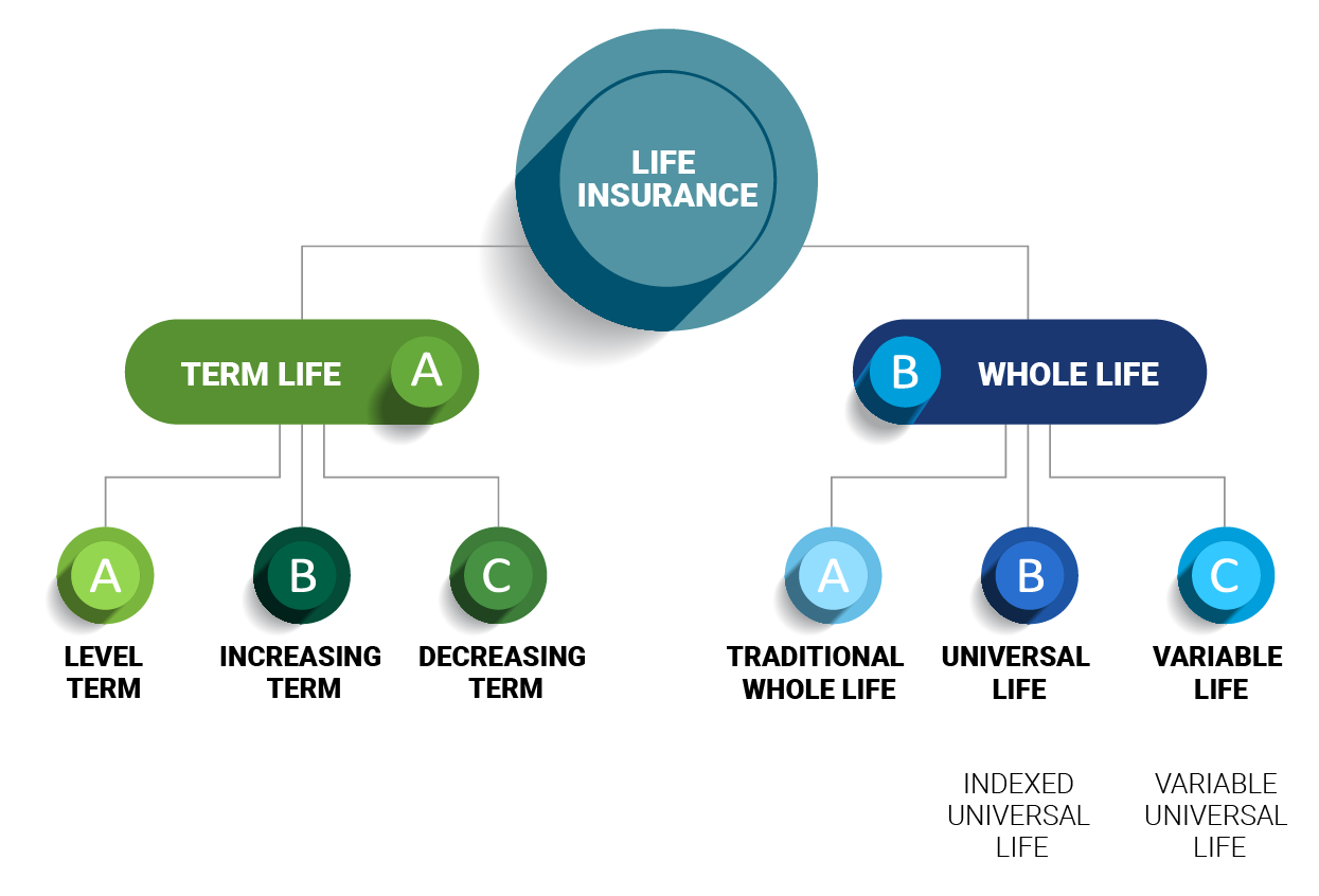 Types of Term Life and Whole Life Insurance Plans
