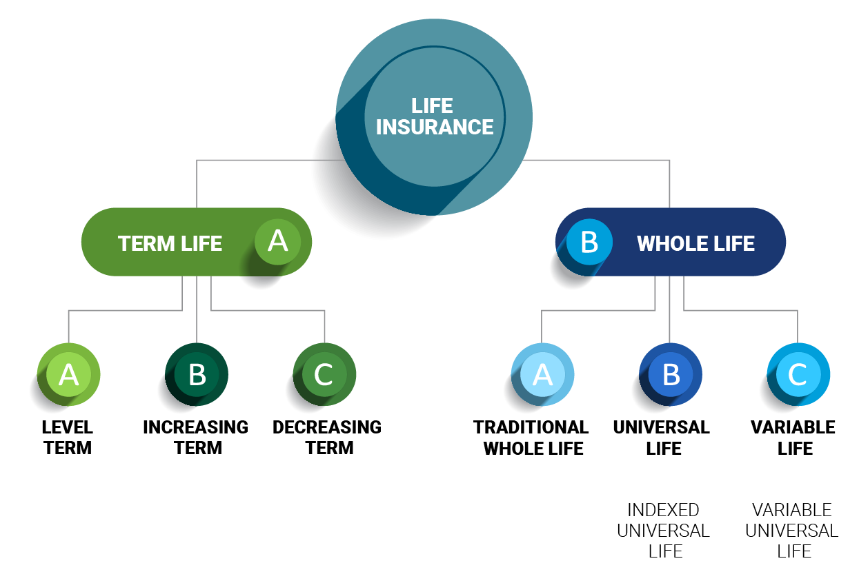 Universal Life Policy: Permanent, Cash Value Insurance - Progressive